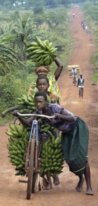     Mit vielen Bananen unterwegs: Kinder in Uganda privat Foto: privat